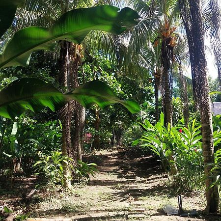 Jardin De Las Musas Puerto Maldonado Kültér fotó