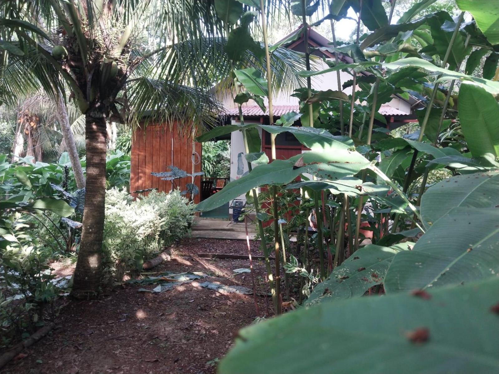 Jardin De Las Musas Puerto Maldonado Szoba fotó