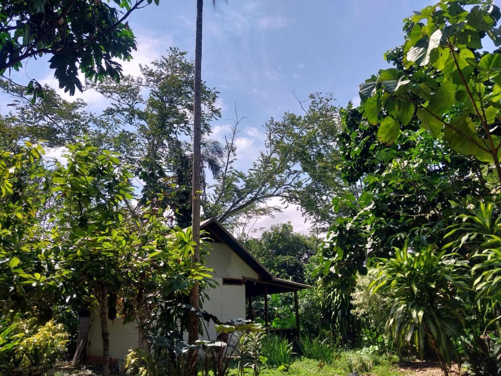 Jardin De Las Musas Puerto Maldonado Szoba fotó