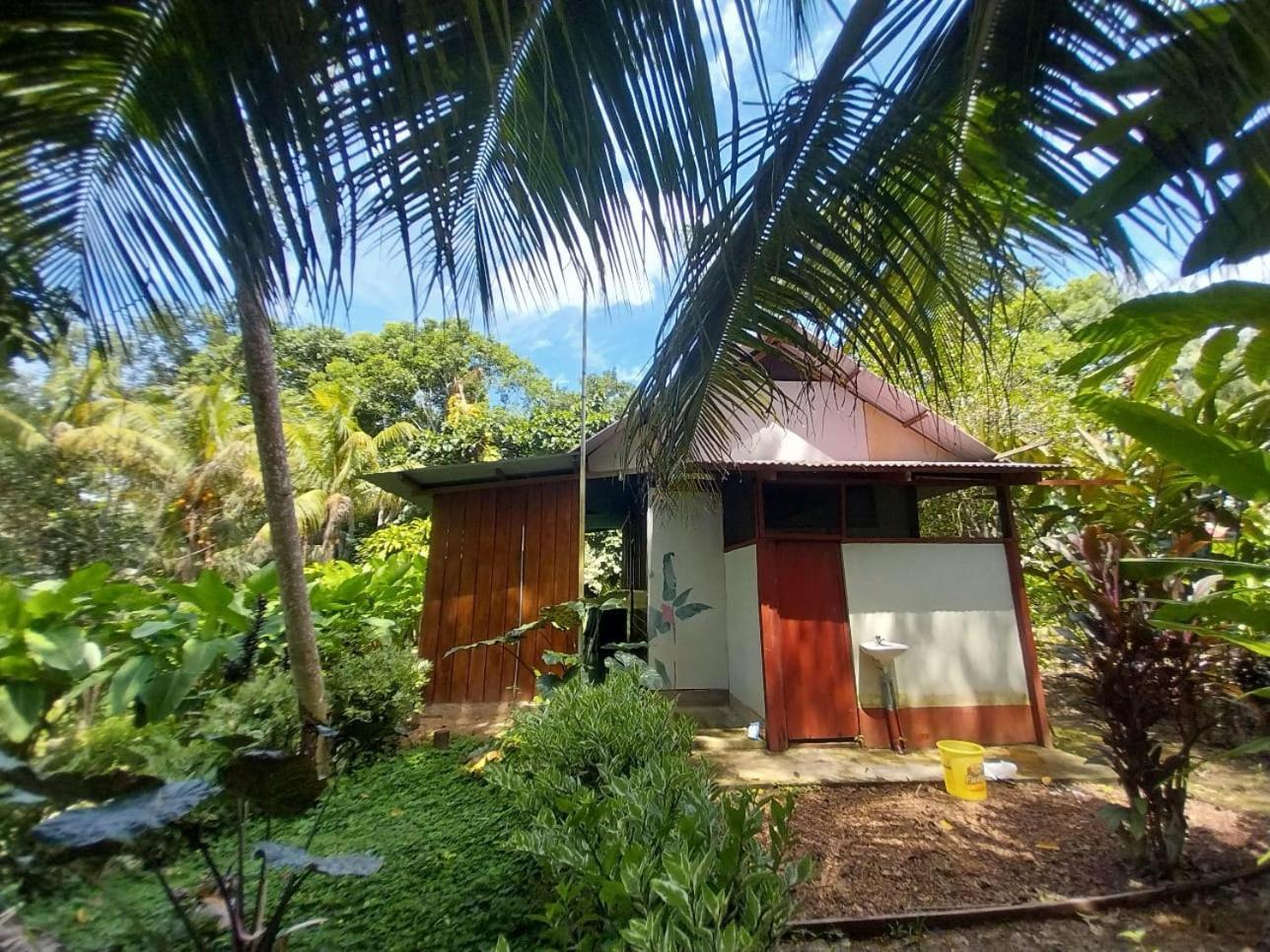 Jardin De Las Musas Puerto Maldonado Szoba fotó