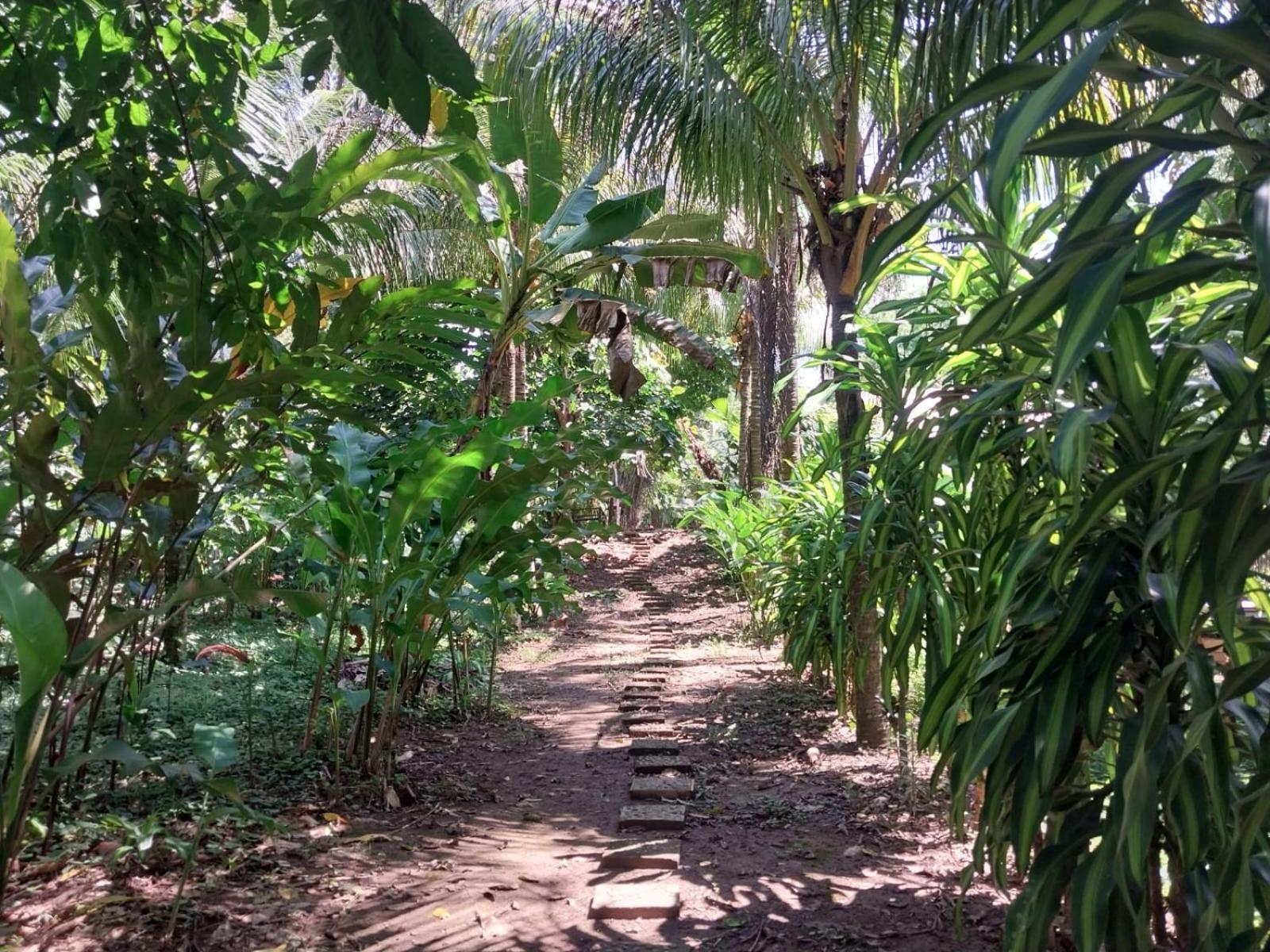 Jardin De Las Musas Puerto Maldonado Kültér fotó