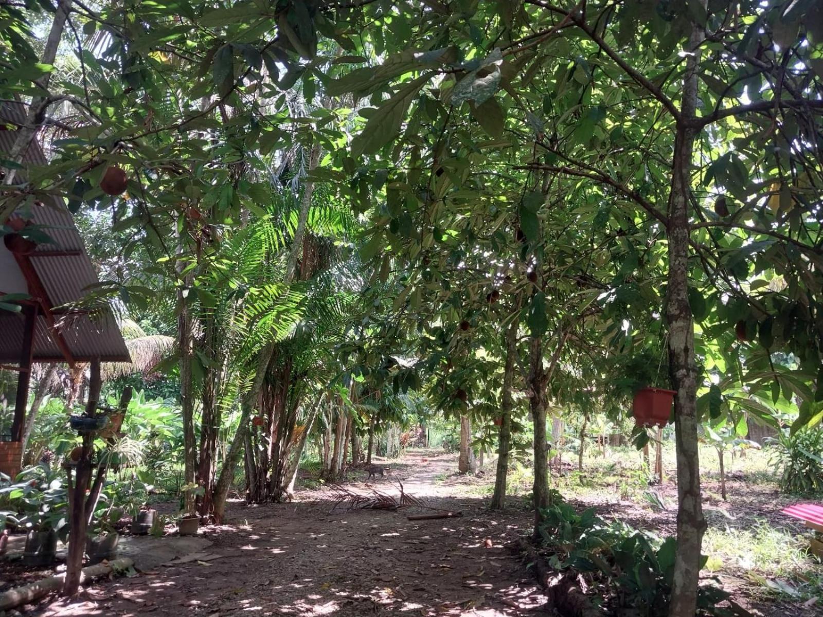 Jardin De Las Musas Puerto Maldonado Szoba fotó