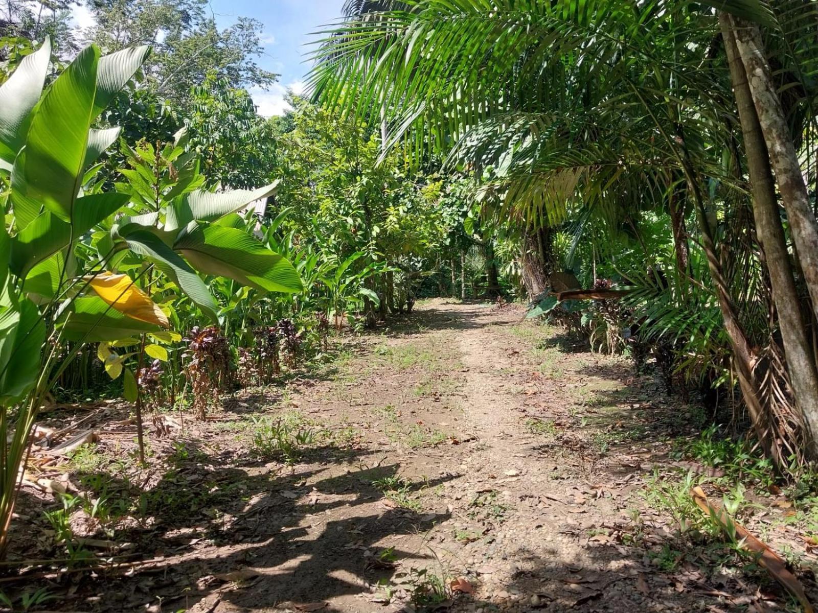 Jardin De Las Musas Puerto Maldonado Szoba fotó