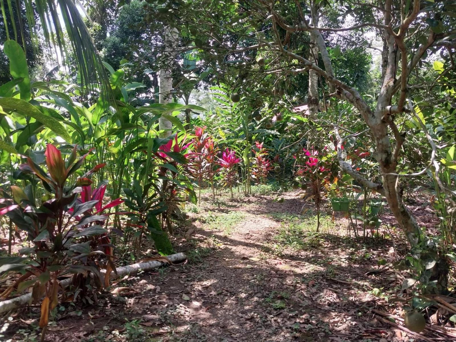 Jardin De Las Musas Puerto Maldonado Kültér fotó