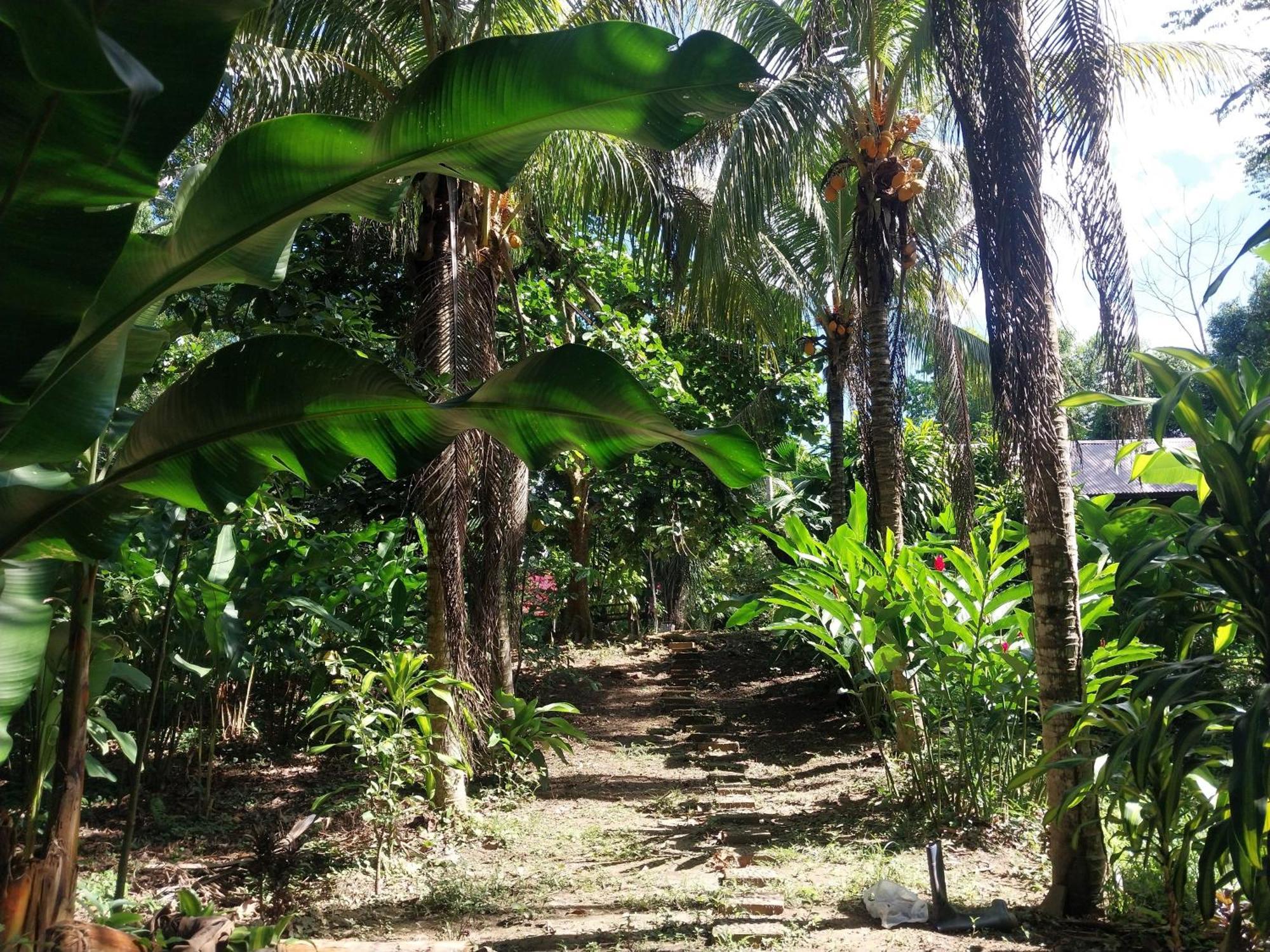 Jardin De Las Musas Puerto Maldonado Kültér fotó