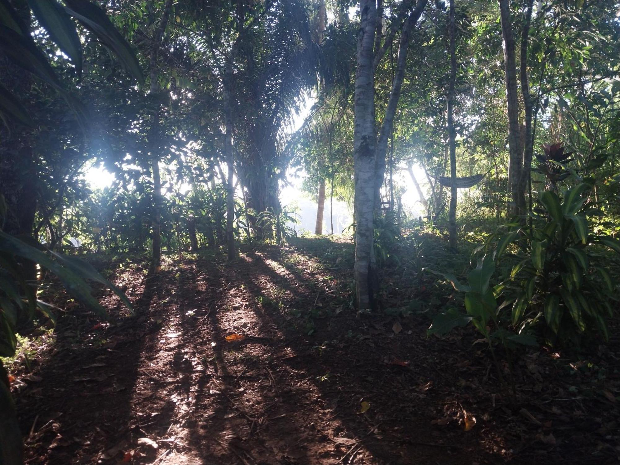 Jardin De Las Musas Puerto Maldonado Kültér fotó
