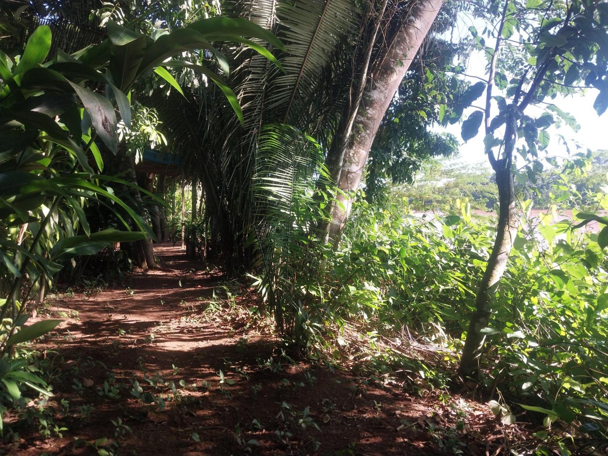 Jardin De Las Musas Puerto Maldonado Szoba fotó